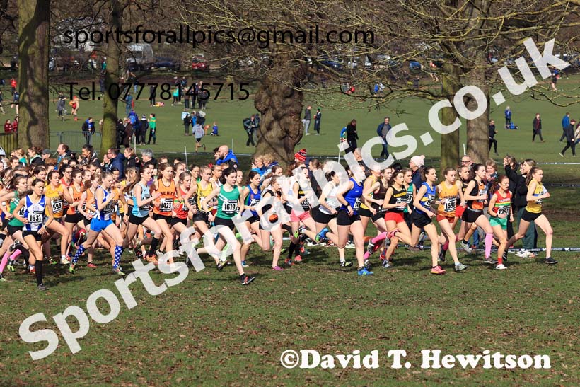 Womens Under-17s, 2024 CAU Inter Counties Cross Country Champs., Wollaton Park, Nottingham. Photo: David T. Hewitson/Sports for All Pics